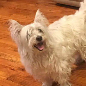 Meet your Posher, Jaden